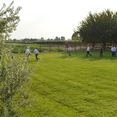 Agriturismo Al Casale Лониго Экстерьер фото